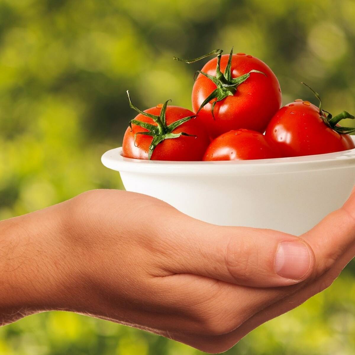 Mains qui se passent un bol fumant au-dessus d'une table garnie